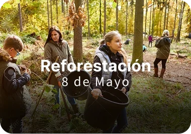 reforestacion